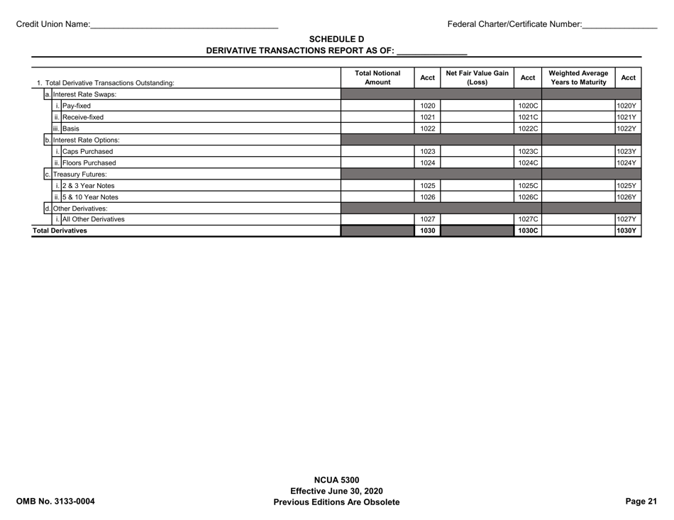Form 5300 Call Report, Page 24
