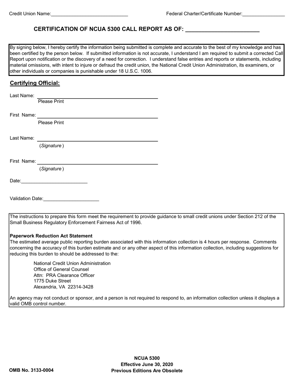 Form 5300 Call Report, Page 3