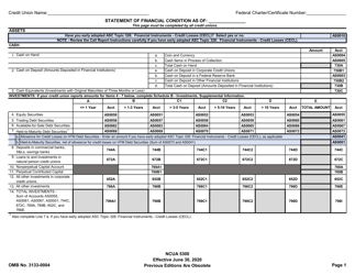 Form 5300 Call Report, Page 4