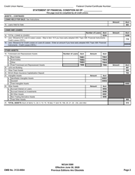 Form 5300 Call Report, Page 5