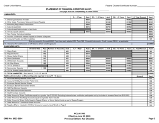 Form 5300 Call Report, Page 6