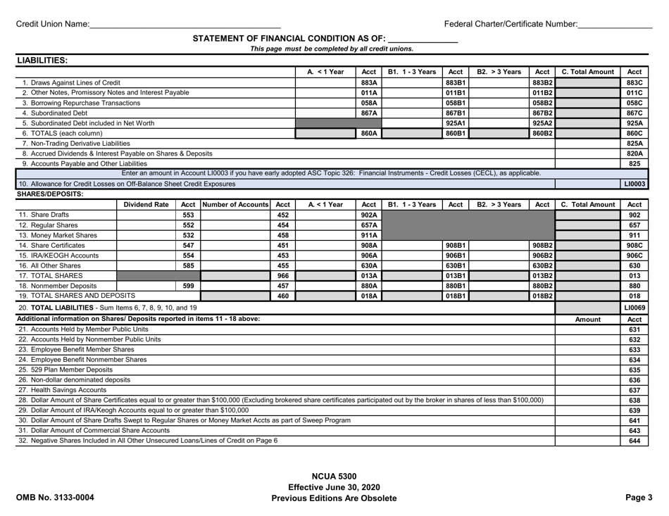 Form 5300 Call Report, Page 6