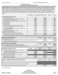 Form 5300 Call Report, Page 9
