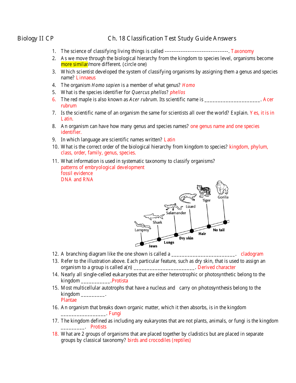 Classification Test Study Guide With Answer Key - Biology II Cp Pertaining To Biological Classification Worksheet Answers