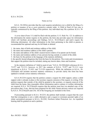 Form 110 Petition - Kansas, Page 9