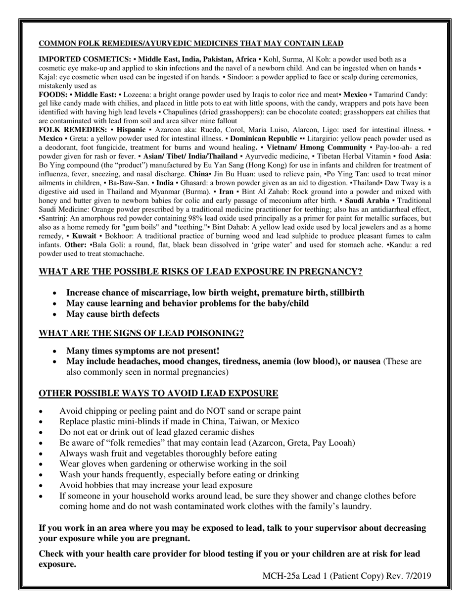 Form MCH-25A Verbal Lead Risk Assessment - Kentucky, Page 2