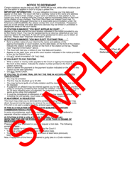 Form DC-028 Uniform Civil Citation - Sample - Maryland, Page 3