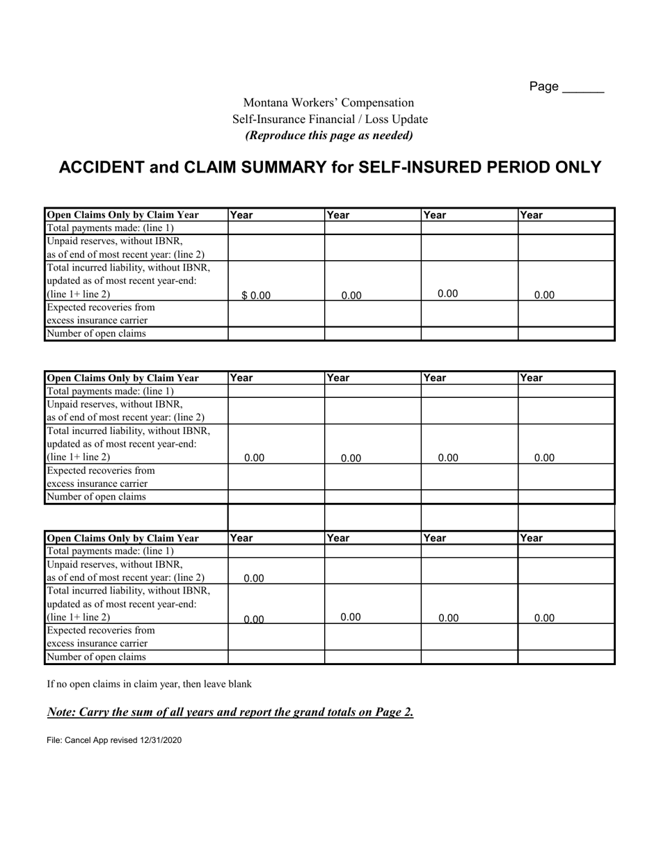 Workers Compensation Self-insurance Financial / Loss Update - Montana, Page 3
