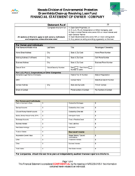 Document preview: Financial Statement of Owner/Company - Brownfields Clean-Up Revolving Loan Fund - Nevada