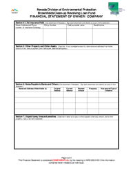 Financial Statement of Owner/Company - Brownfields Clean-Up Revolving Loan Fund - Nevada, Page 3