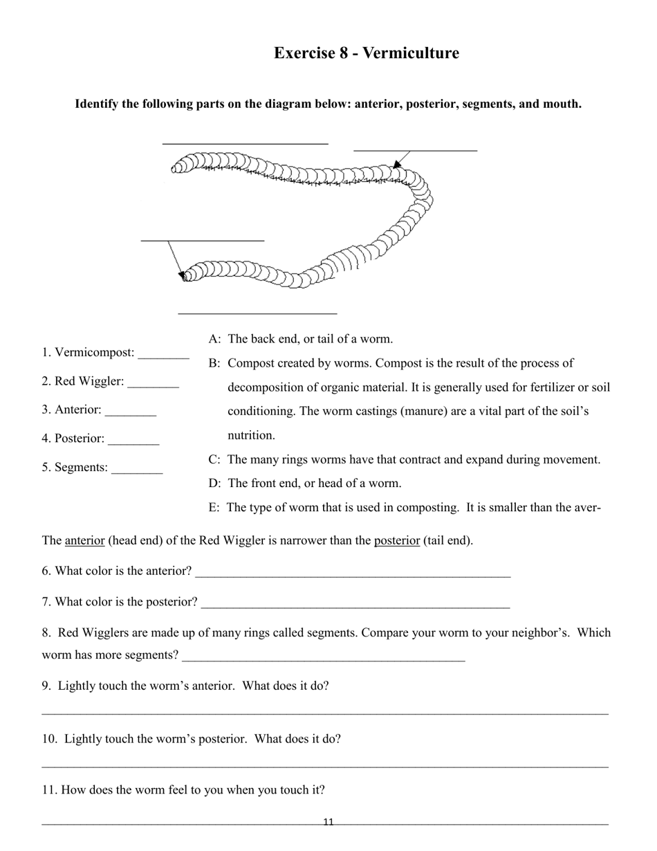 Recycling  Waste Reduction Student Workbook - Nevada, Page 11