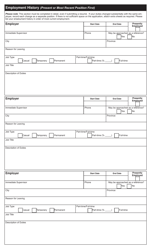 Form 14PS15-39062 Application for Employment With the Pei Public Service - Prince Edward Island, Canada, Page 3