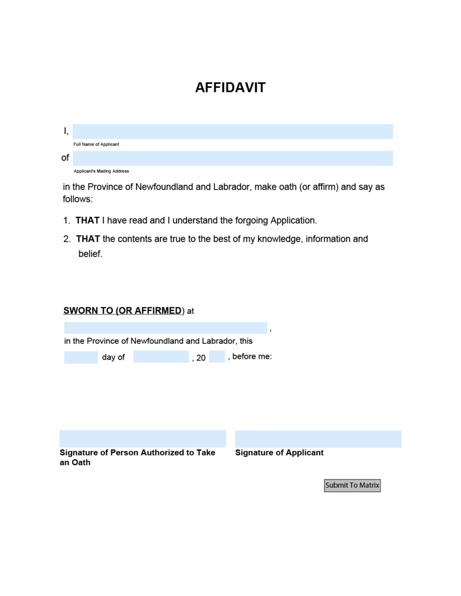 Form 51-08-07-14-605P Application for Adoption Order - Provincial Court - Newfoundland and Labrador, Canada, Page 4