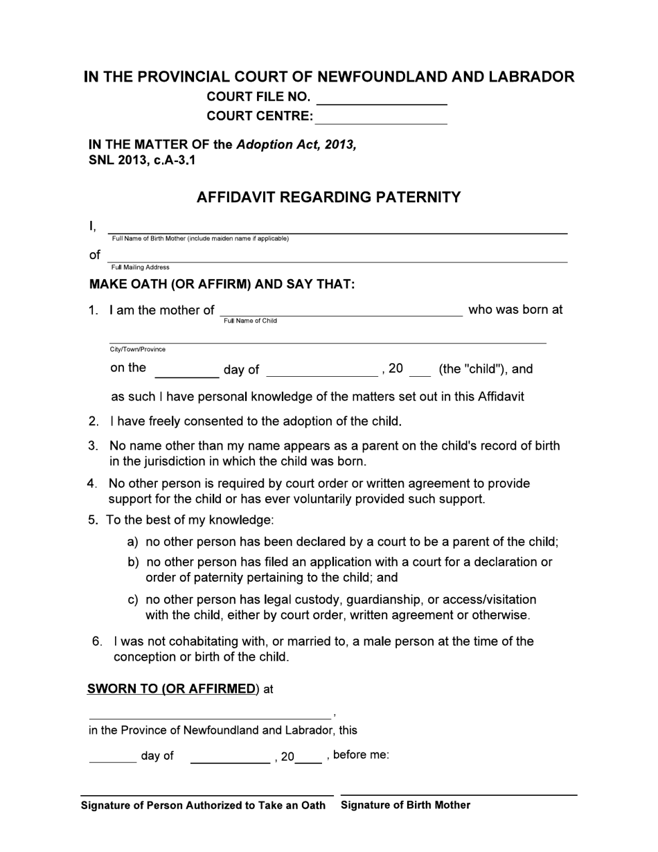 Affidavit Regarding Paternity - Provincial Court - Newfoundland and Labrador, Canada, Page 1