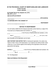 Form 51-08-07-14-624 P &quot;Notice to Respondent - Provincial Court&quot; - Newfoundland and Labrador, Canada