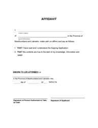 Form 51-08-07-14-65 P Application to Dispense With Consent - Provincial Court - Newfoundland and Labrador, Canada, Page 3