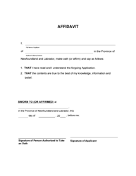 Form 51-08-07-14-65 P Application to Dispense With Consent - Provincial Court - Newfoundland and Labrador, Canada, Page 4