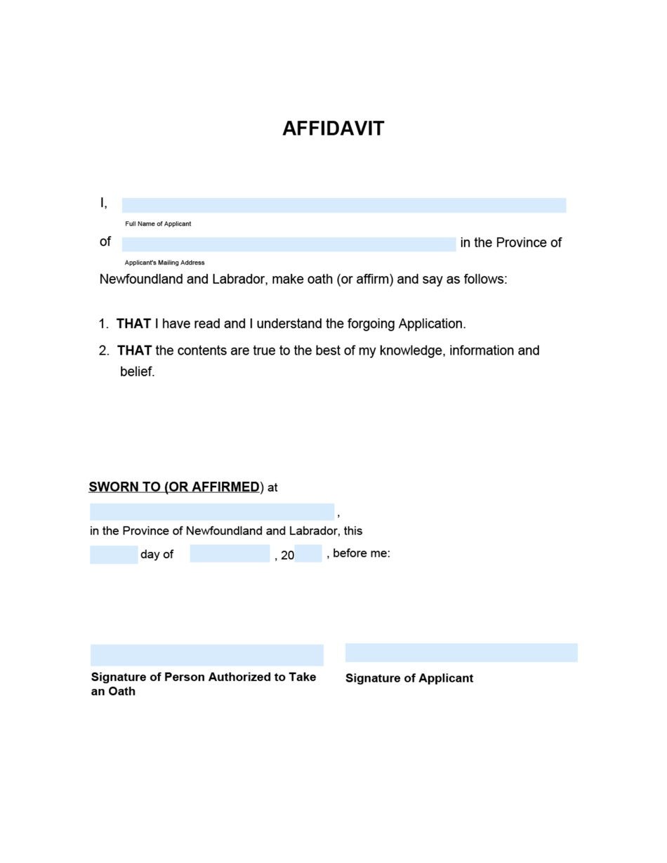 Form 51-08-07-14-600 S Application to Dispense With Consent - Supreme Court - Newfoundland and Labrador, Canada, Page 3