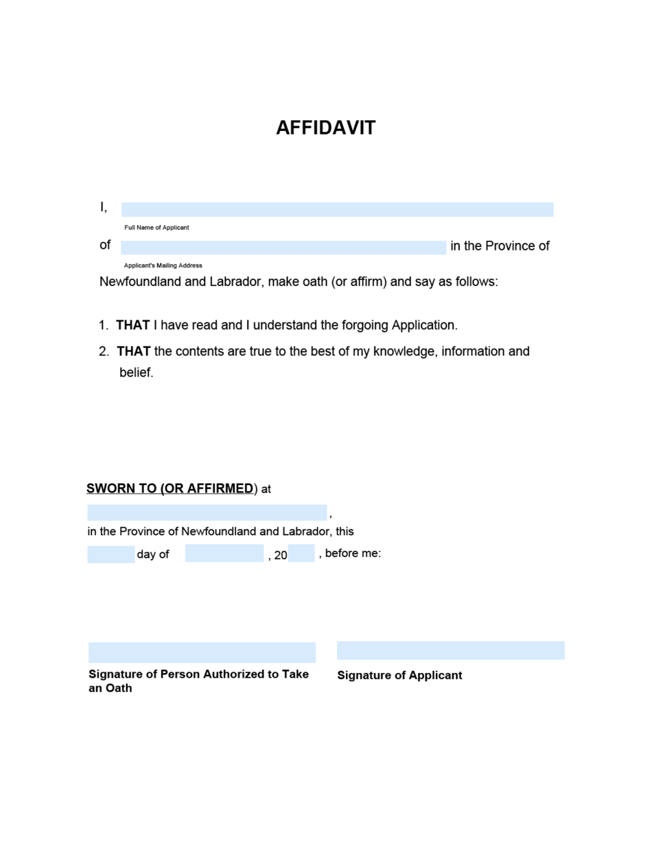 Form 51-08-07-14-600 S Application to Dispense With Consent - Supreme Court - Newfoundland and Labrador, Canada, Page 4
