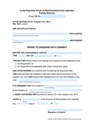 Document preview: Form 51-08-07-14-599 S Order to Dispense With Consent - Supreme Court - Newfoundland and Labrador, Canada