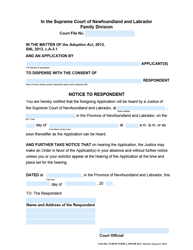 Form 51-08-07-14-625 S &quot;Notice to Respondent - Supreme Court&quot; - Newfoundland and Labrador, Canada