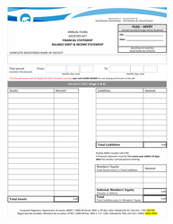 Document preview: Financial Statement - Balance Sheet & Income Statement - Northwest Territories, Canada