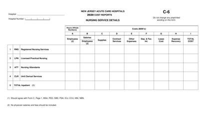 Form C-6 &quot;New Jersey Acute Care Hospitals Cost Reports - Nursing Service Details&quot; - New Jersey