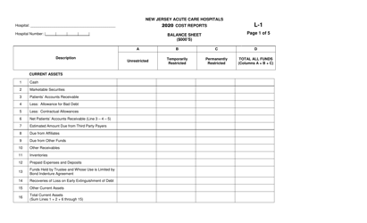Document preview: Form L-1 New Jersey Acute Care Hospitals Cost Reports - Balance Sheet - New Jersey, 2020