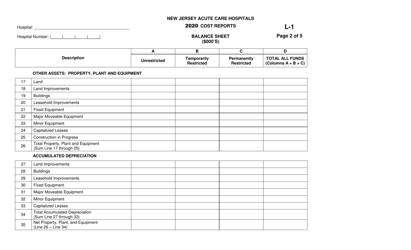 Form L-1 New Jersey Acute Care Hospitals Cost Reports - Balance Sheet - New Jersey, Page 2