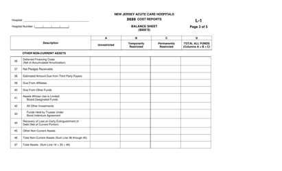 Form L-1 New Jersey Acute Care Hospitals Cost Reports - Balance Sheet - New Jersey, Page 3