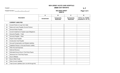 Form L-1 New Jersey Acute Care Hospitals Cost Reports - Balance Sheet - New Jersey, Page 4