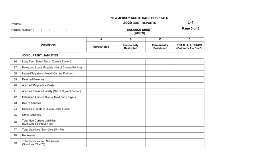 Form L-1 New Jersey Acute Care Hospitals Cost Reports - Balance Sheet - New Jersey, Page 5
