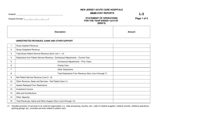 Form L-3 New Jersey Acute Care Hospitals Cost Reports - Statement of Operations - New Jersey