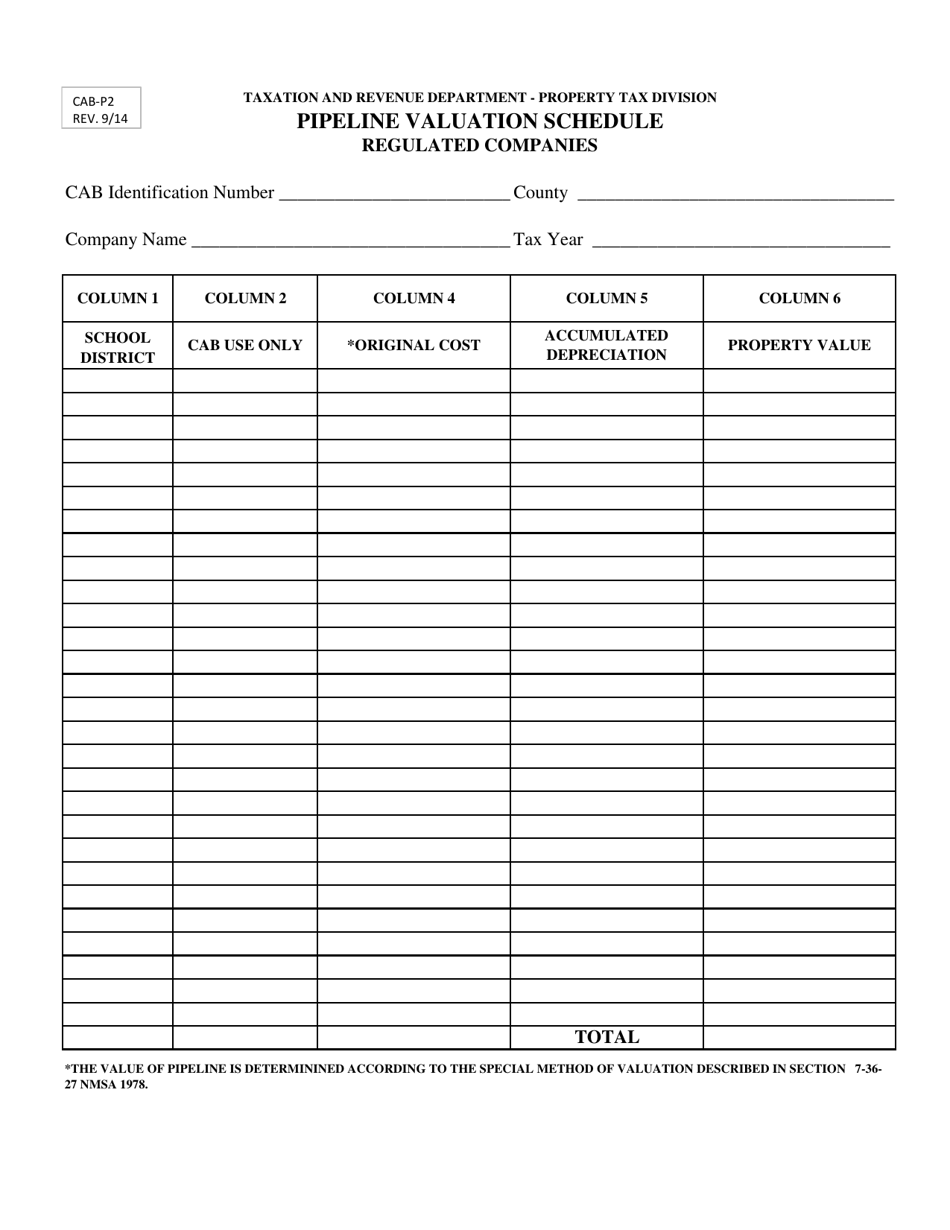 Form Cab-p2 - Fill Out, Sign Online And Download Printable Pdf, New 