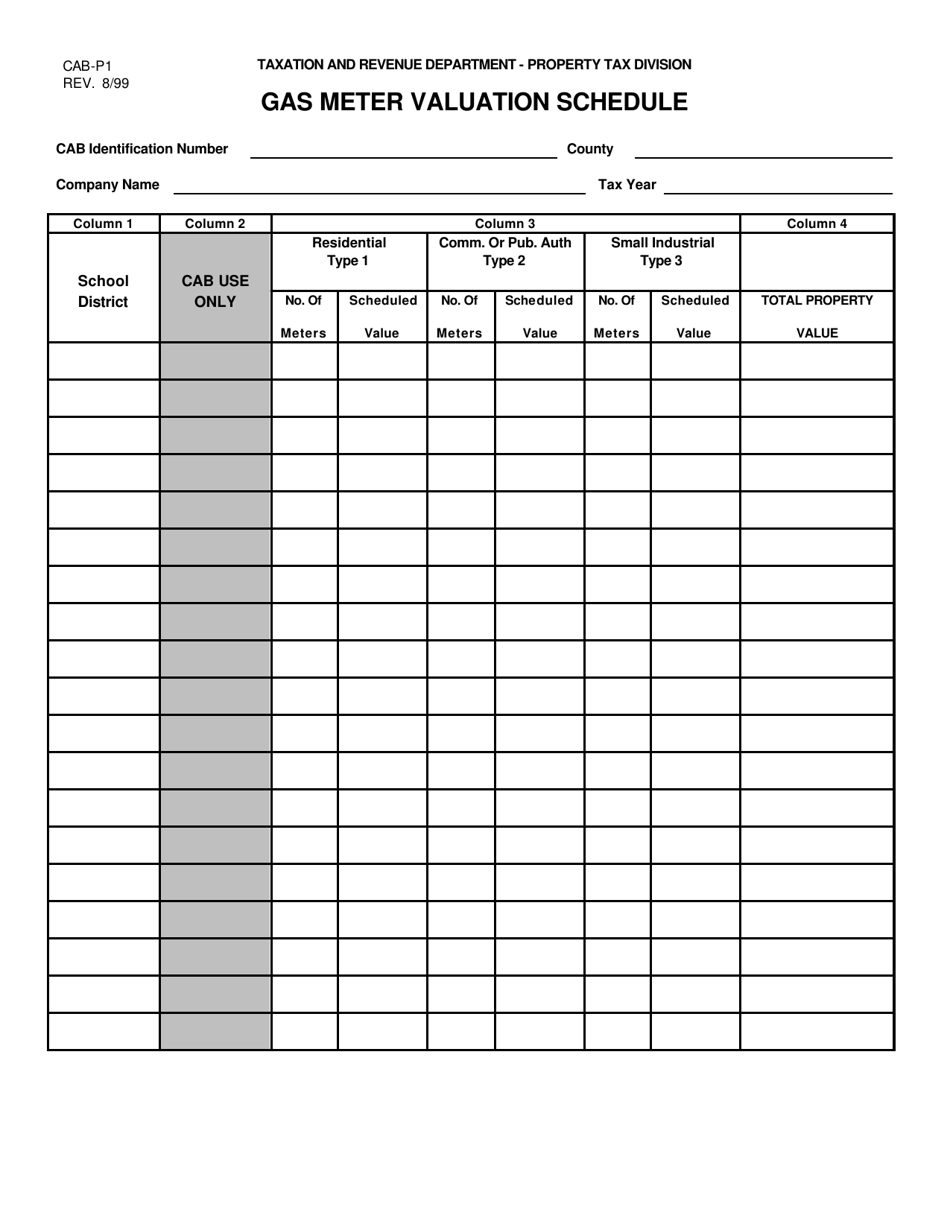 Form CAB-P1 Gas Meter Valuation Schedule - New Mexico, Page 1