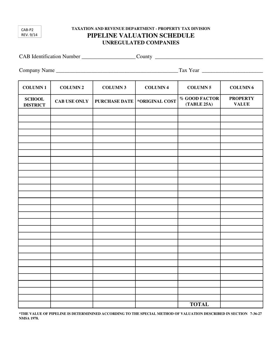 Form CAB-P2 - Fill Out, Sign Online and Download Printable PDF, New ...