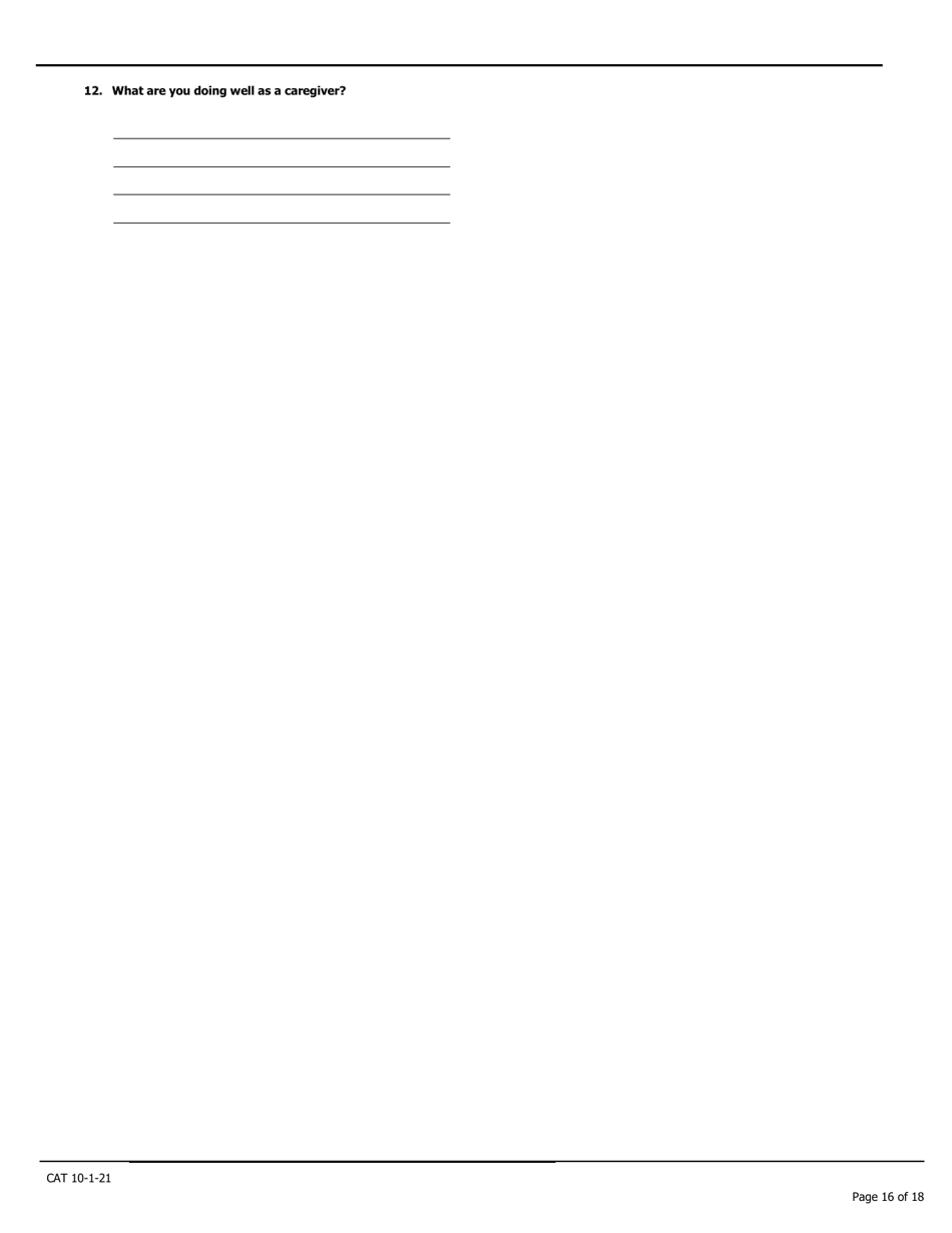 Caregiver Assessment Tool (Cat) - Pennsylvania, Page 16