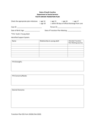 Document preview: DSS Form 30206 Youth Driven Transition Plan - South Carolina