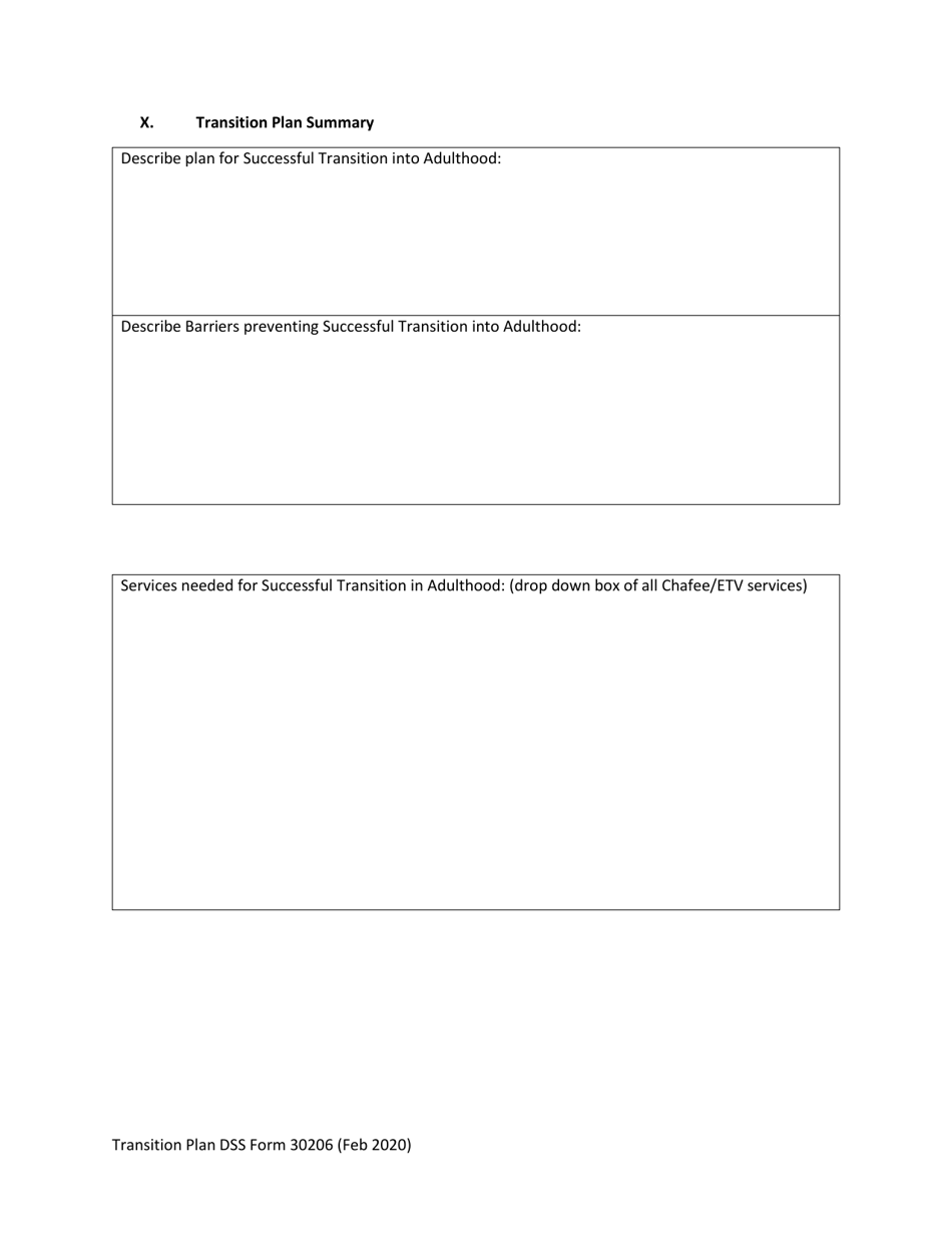 DSS Form 30206 Youth Driven Transition Plan - South Carolina, Page 10