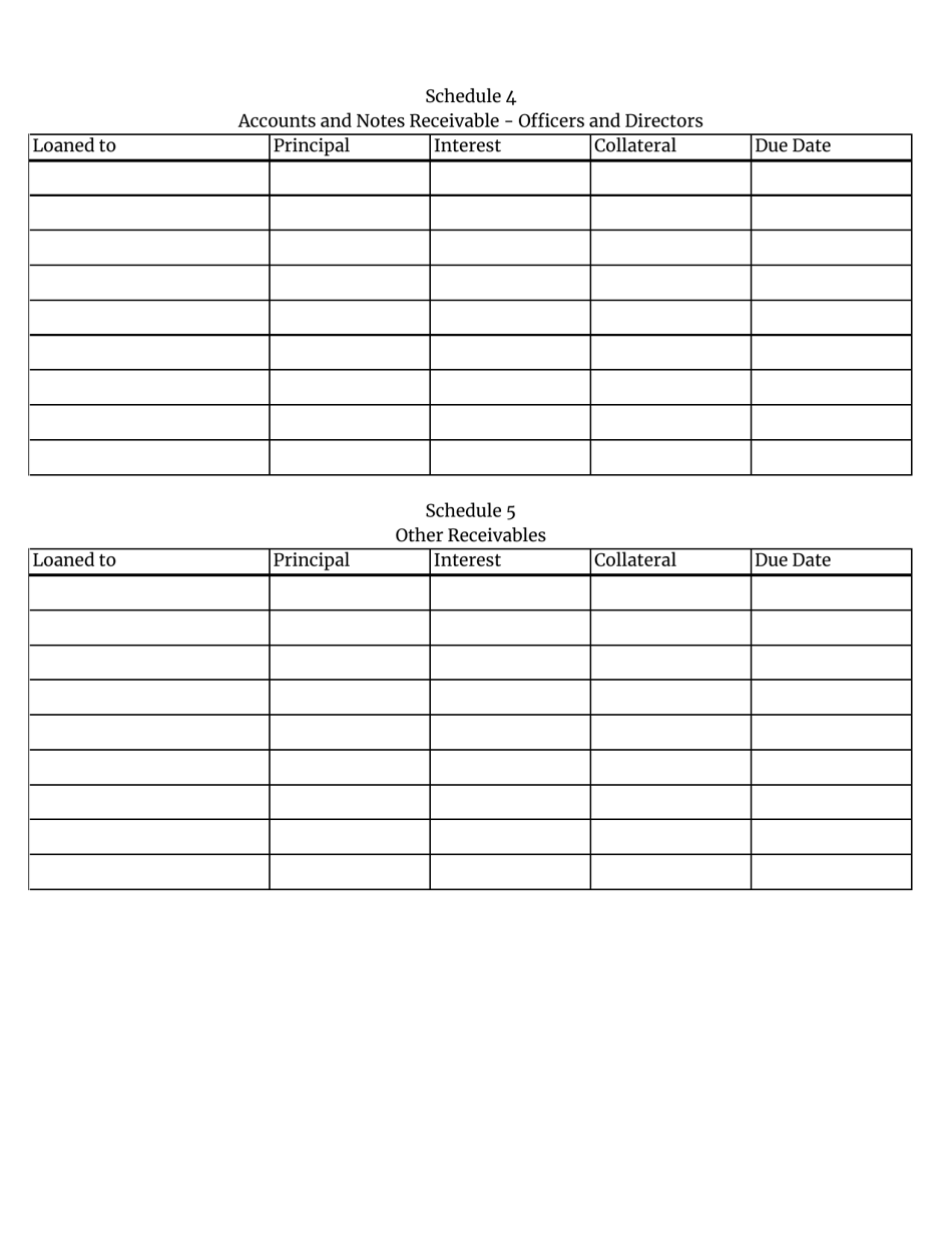Insurance Premium Service Company Annual Statement - South Carolina, Page 11