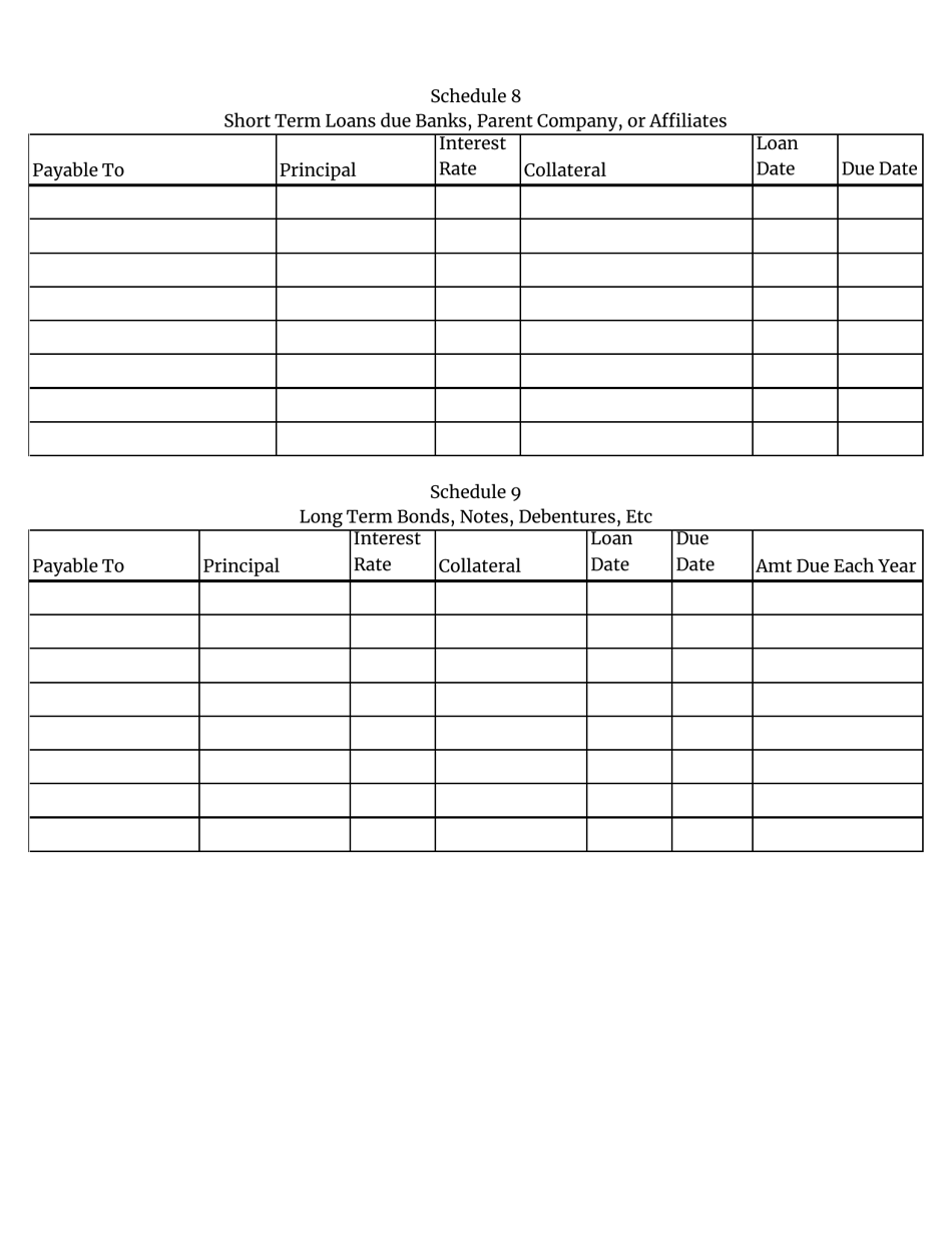 Insurance Premium Service Company Annual Statement - South Carolina, Page 13