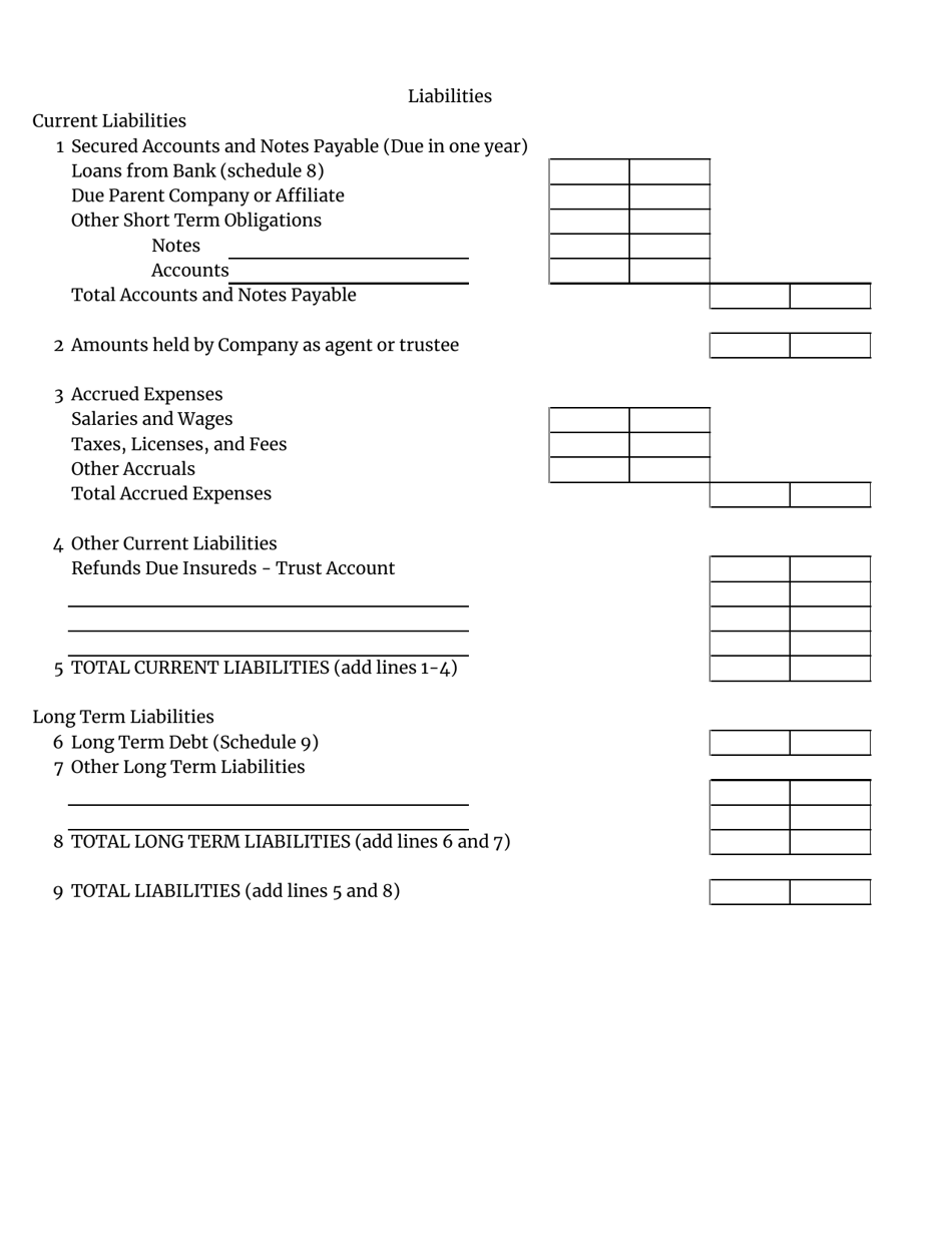 Insurance Premium Service Company Annual Statement - South Carolina, Page 3