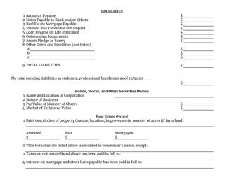 Form BB1106 Professional Bondsman Financial Statement - South Carolina, Page 2