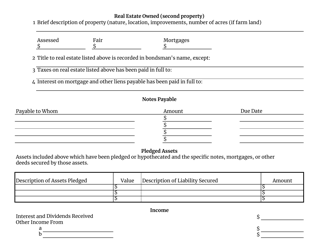 Form BB1106 Professional Bondsman Financial Statement - South Carolina, Page 3