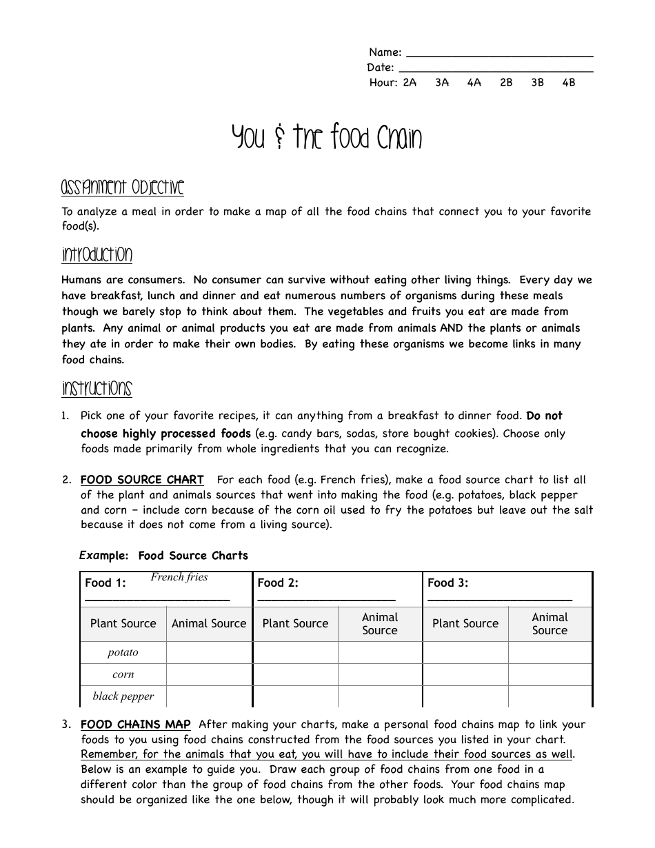 Biology worksheet titled "You & the Food Chain - Oakman School