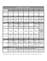 Sample &quot;Daily Schedule for Aa Members&quot;