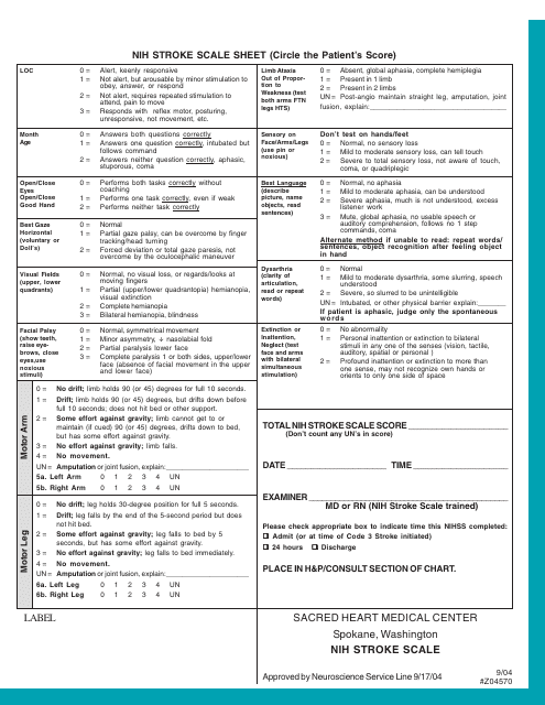 Nih Stroke Scale Sheet - Document Preview