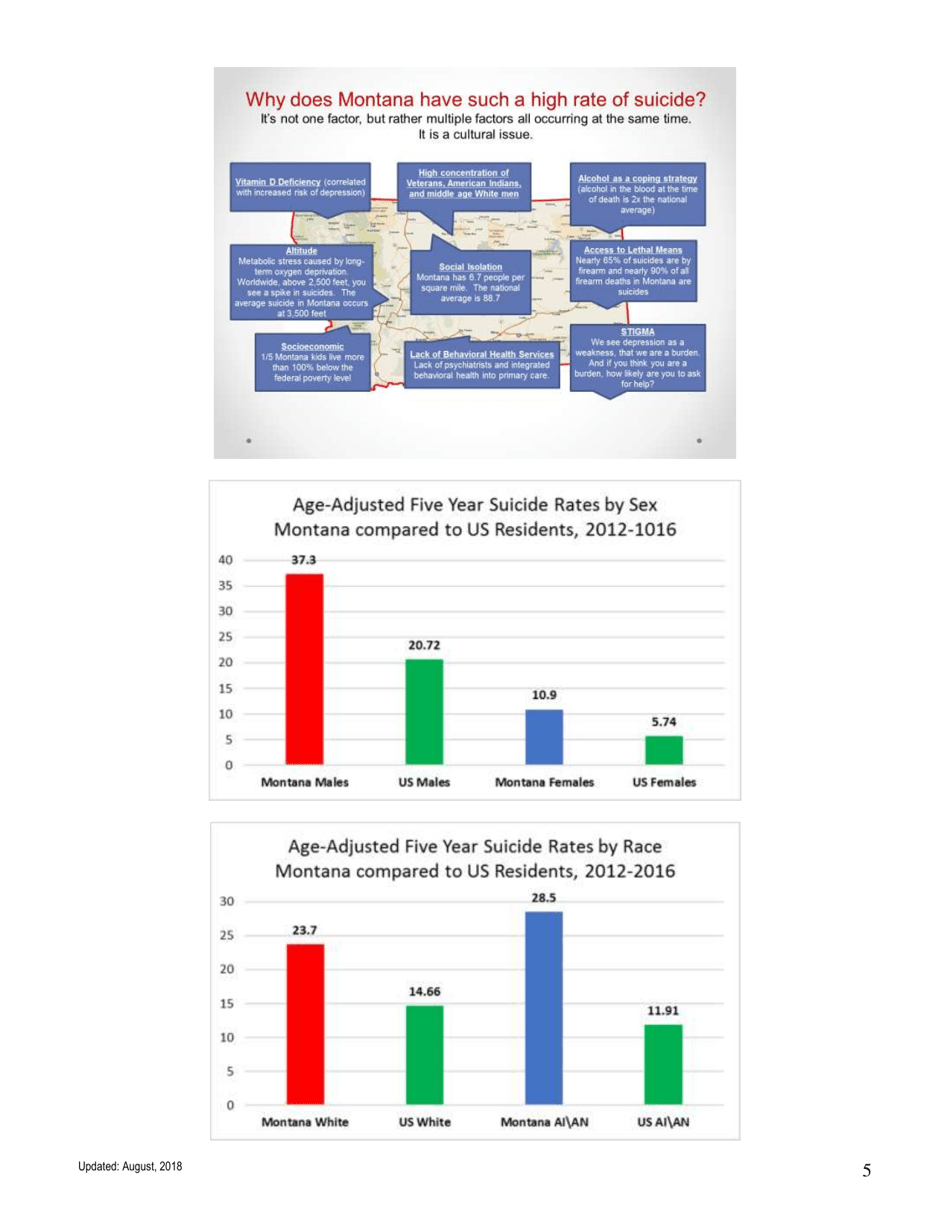 Suicide in Montana - Facts, Figures, and Formulas for Prevention - Montana, Page 5