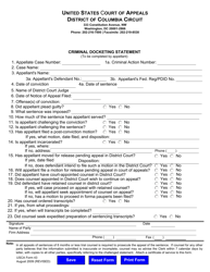 Document preview: USCA Form 43 Criminal Docketing Statement - Washington, D.C.