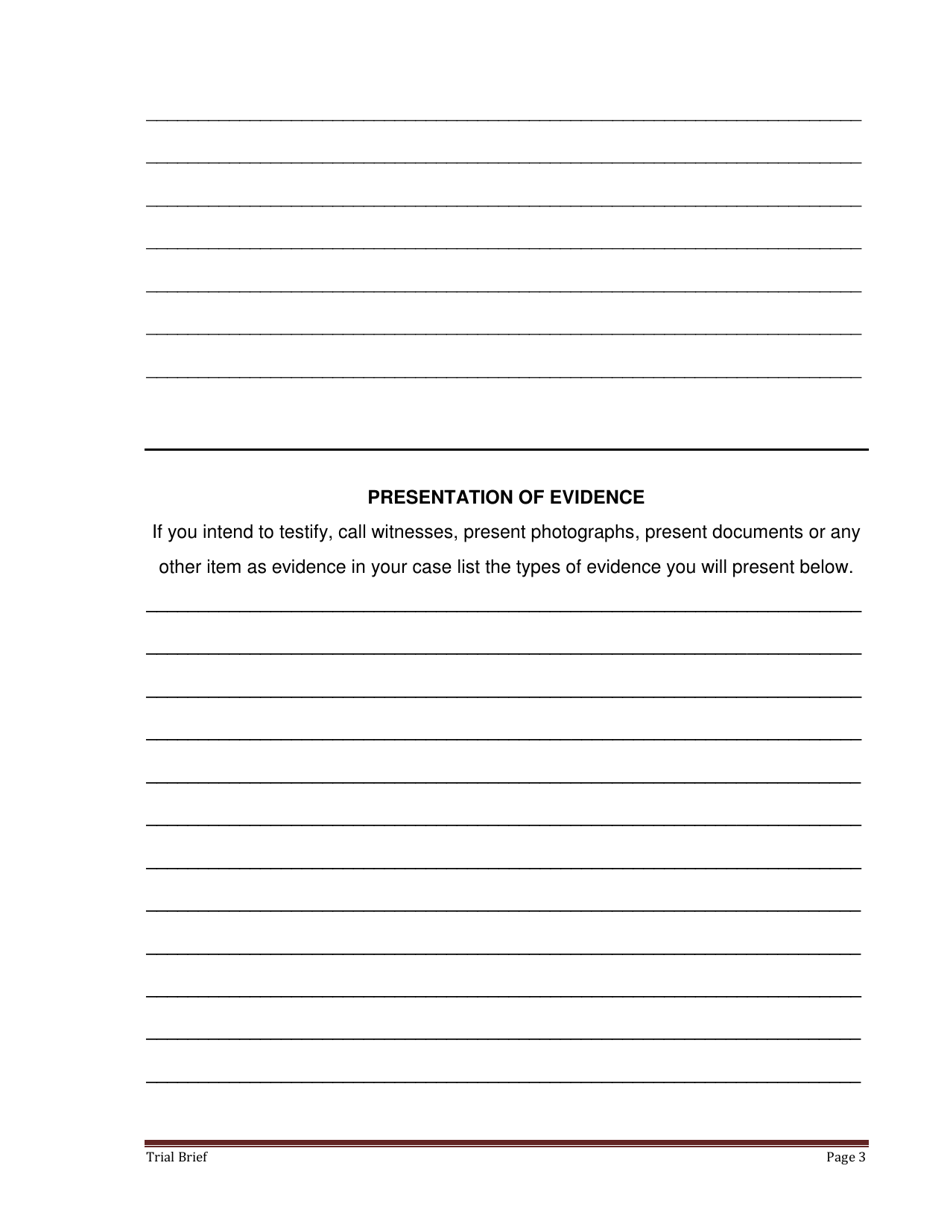 Form FL107 Trial Brief - County of San Joaquin, California, Page 3